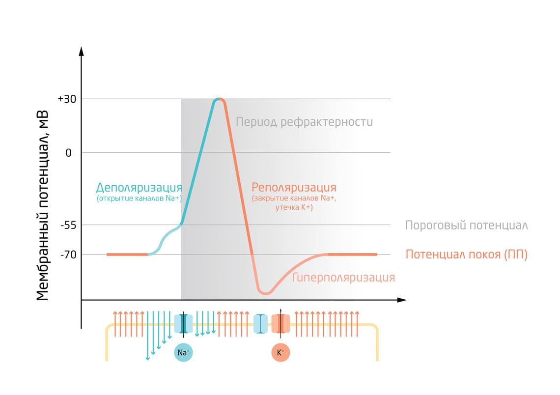 Профильные программы